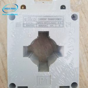 bien dong do luong-MSQ40-600/5A